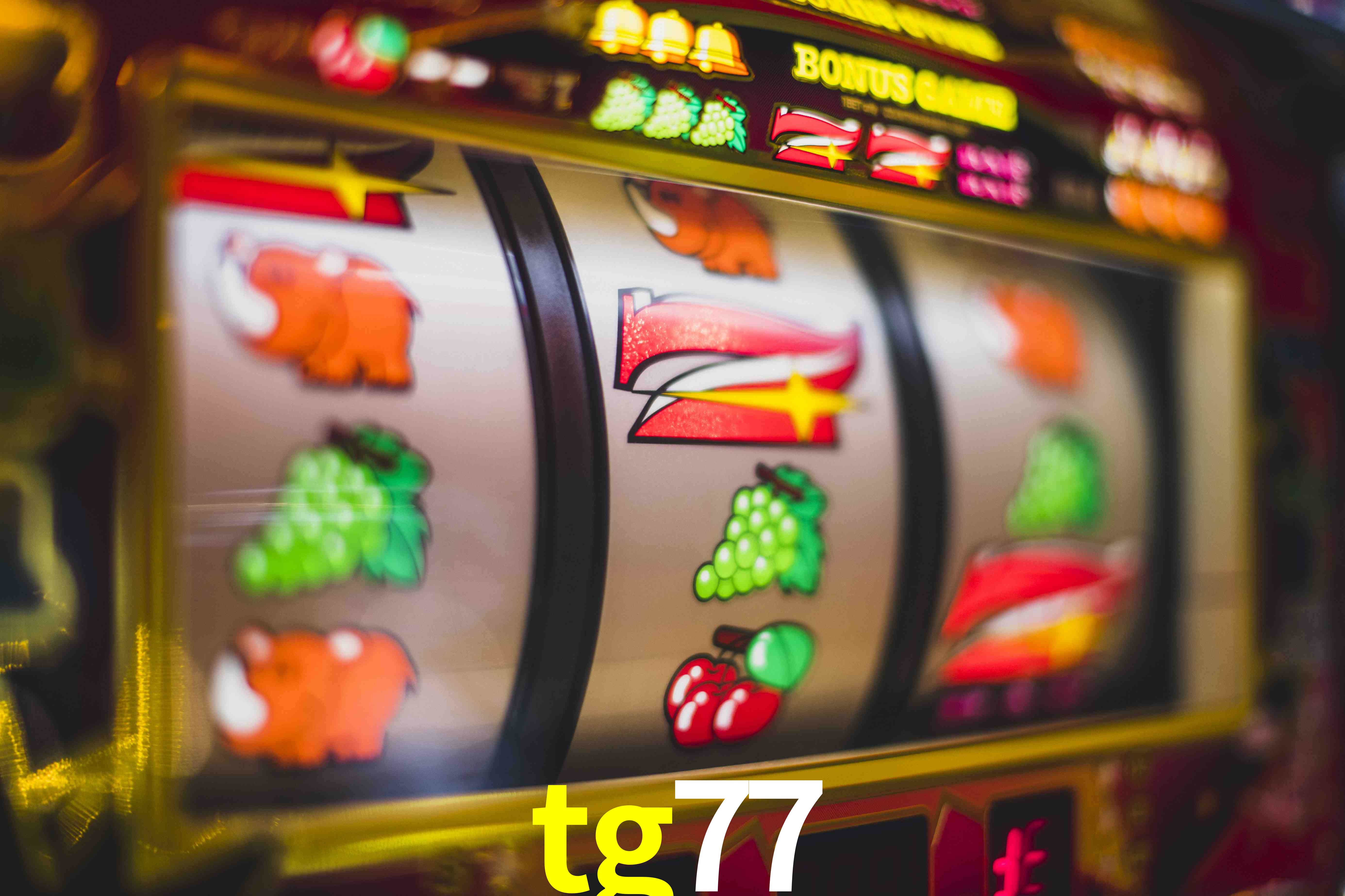 Basketball Betting tg77